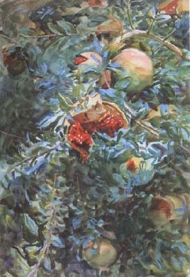 Pomegranates (mk18), John Singer Sargent